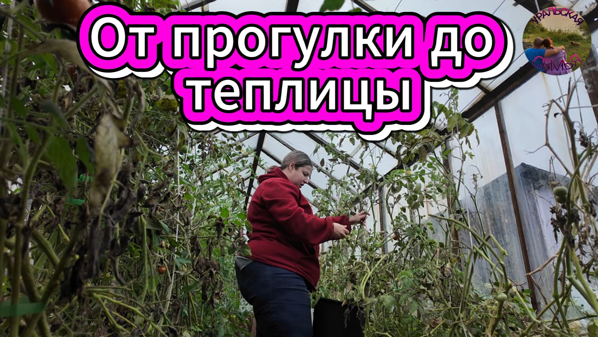 С АЛЬФОЙ В ЛЕС,СБОР ЗЕЛЕНОГО УРОЖАЯ