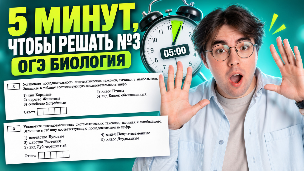 Задание 3 за 5 минут на максимум | Никита Павлов | Умскул