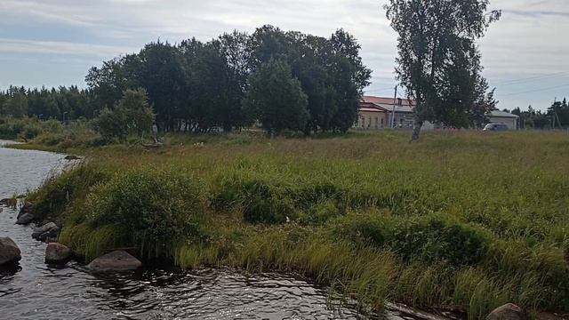 СВЕТОЕ ОЗЕРО И ТАЙГА