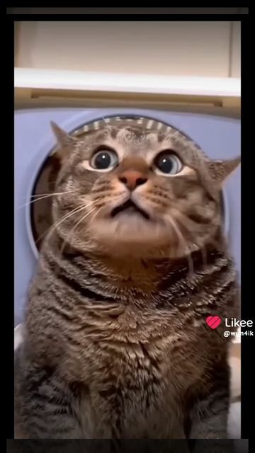 Не ухаживает!