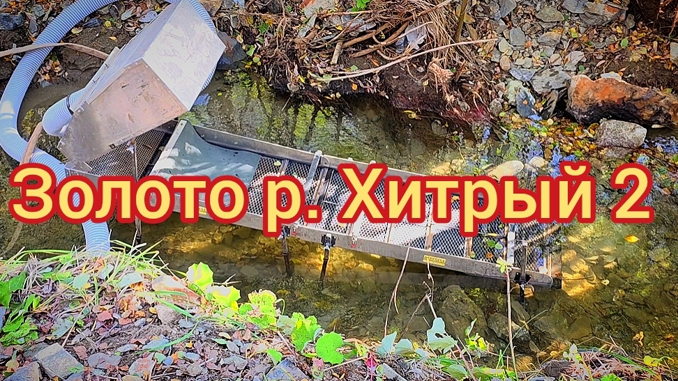 Золото р. Хитрый 2