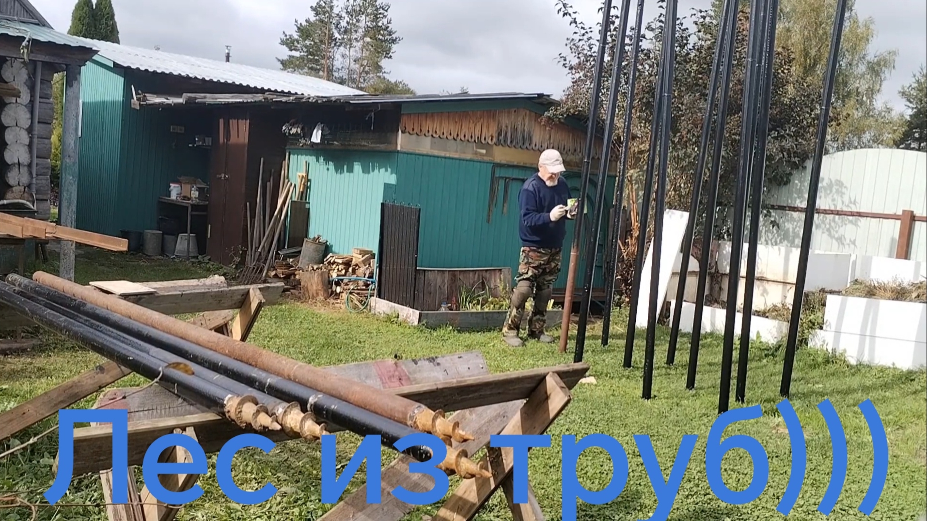 Лес из труб. 16-09-2026