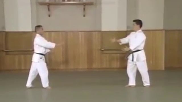 Энциклопедия Ёсинкан Айкидо