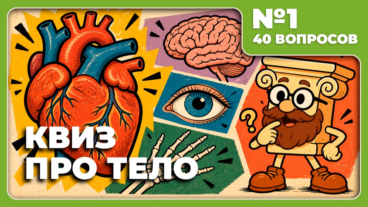 КВИЗ - Что вы знаете о человеческом теле? (лёгкий)