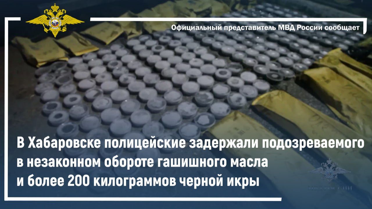 В Хабаровске полицейские задержали подозреваемого в незаконном обороте гашишного масла и черной икры