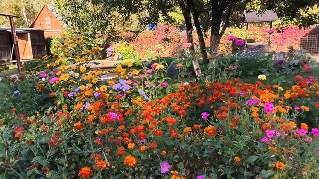 Погода шепчет, помыла теплицы.