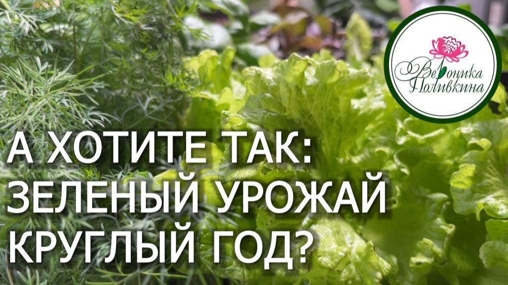 КАК ВЫРАСТИТЬ ЗЕЛЕНЬ В ЗИМНИЙ ПЕРИОД