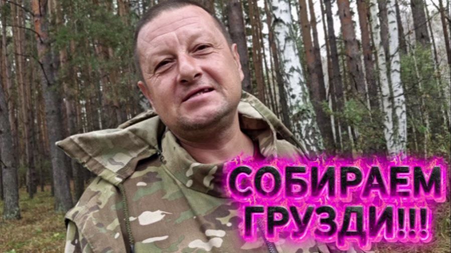 Жизнь в деревне.Поездка в лес.Собираем остатки груздей.
