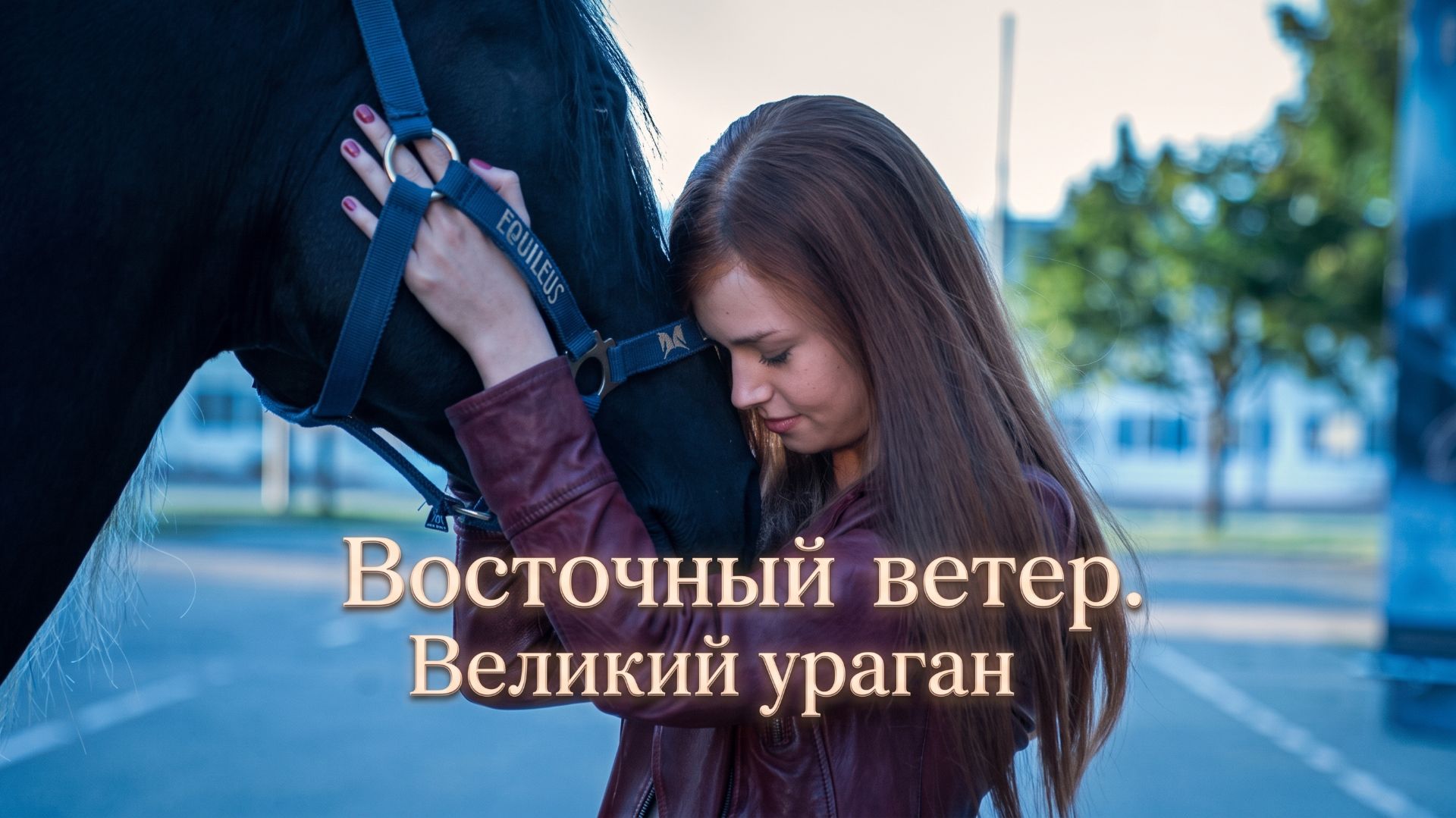 Восточный ветер. Великий ураган (2021) / Ostwind - Der Große Orkan