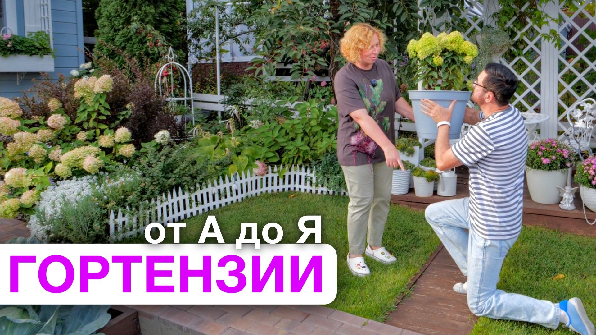 Как вырастить гортензии от А до Я