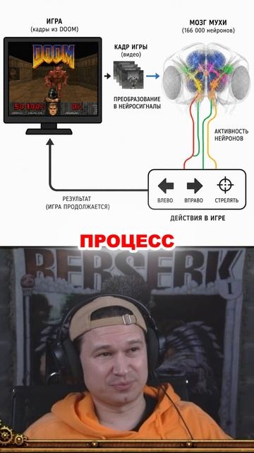 Шортсы