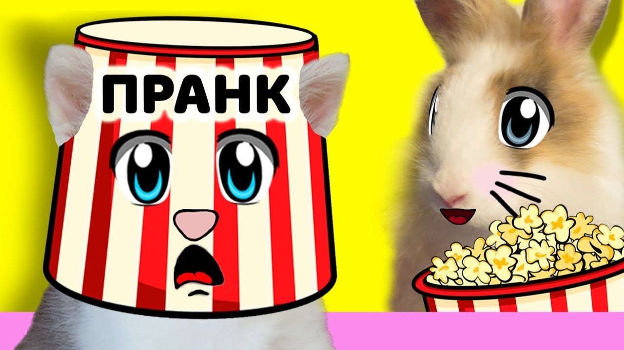 КИНОТЕАТР для Баффи Милаффи! Розыгрыш кошечки Мурки! Как сделать ПРОЕКТОР своими руками