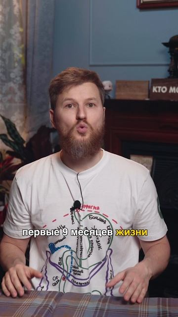 Я купил 200 кг соли!