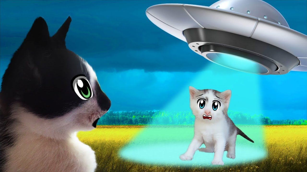 КОТ МАЛЫШ и КРОЛИК БАФФИ Vs ПРИШЕЛЕЦ! КОШКА МУРКА ЗАКОЛДОВАНА! НЛО против КОТОВ!