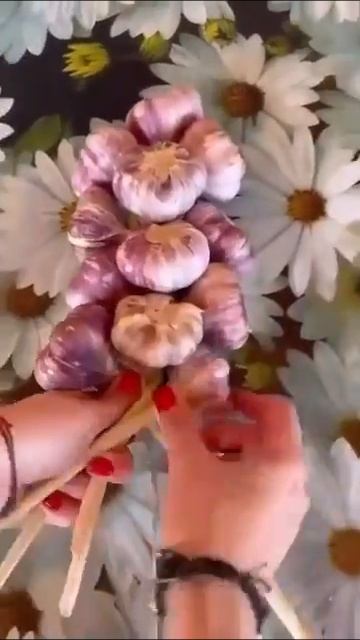Как хранить чеснок?