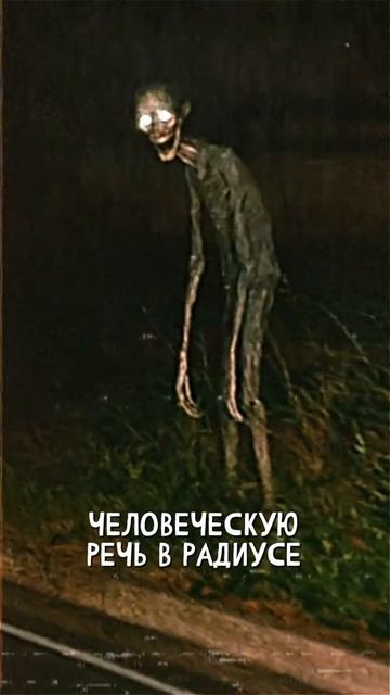 К.О.Н.У.Р. архив Inflected 0