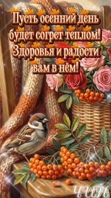 С добрым осенним утром, мои дорогие!