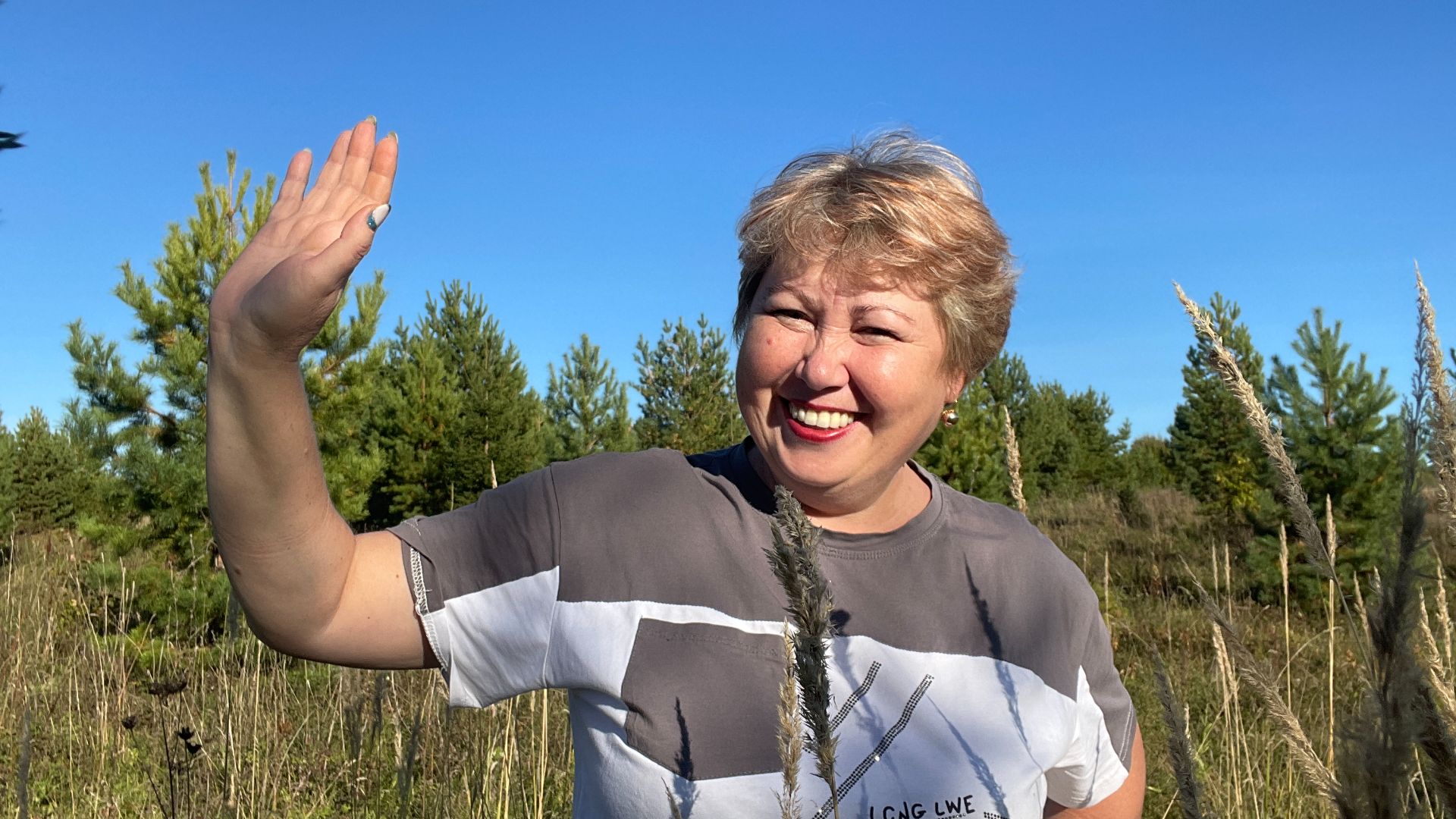 Лесная болталка под вязание. Грибы ушли...