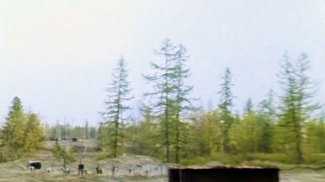 Старые кинопленки. Ямал