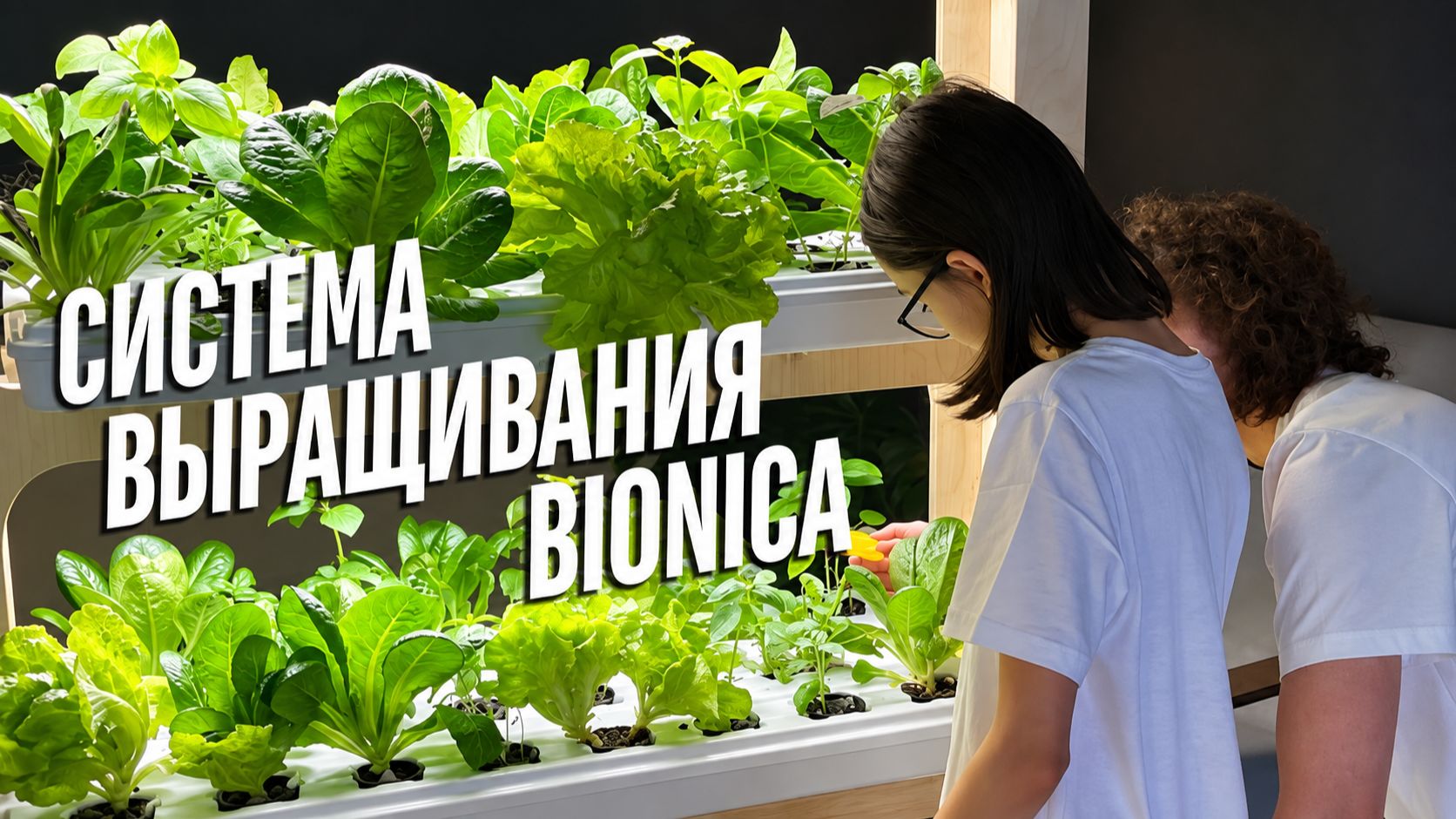 «Бионика»: путеводитель по работе с системой