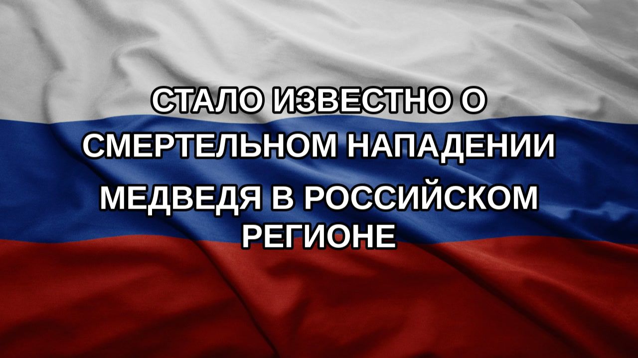 Стало известно о смертельном нападении медведя в российском регионе