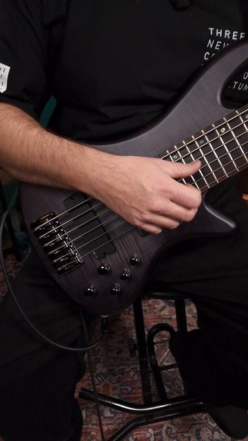 Тестирую Schecter Stiletto Studio 6 - приятная 6ка с датчиками EMG и активным преампом
.
.
.
#ernieb