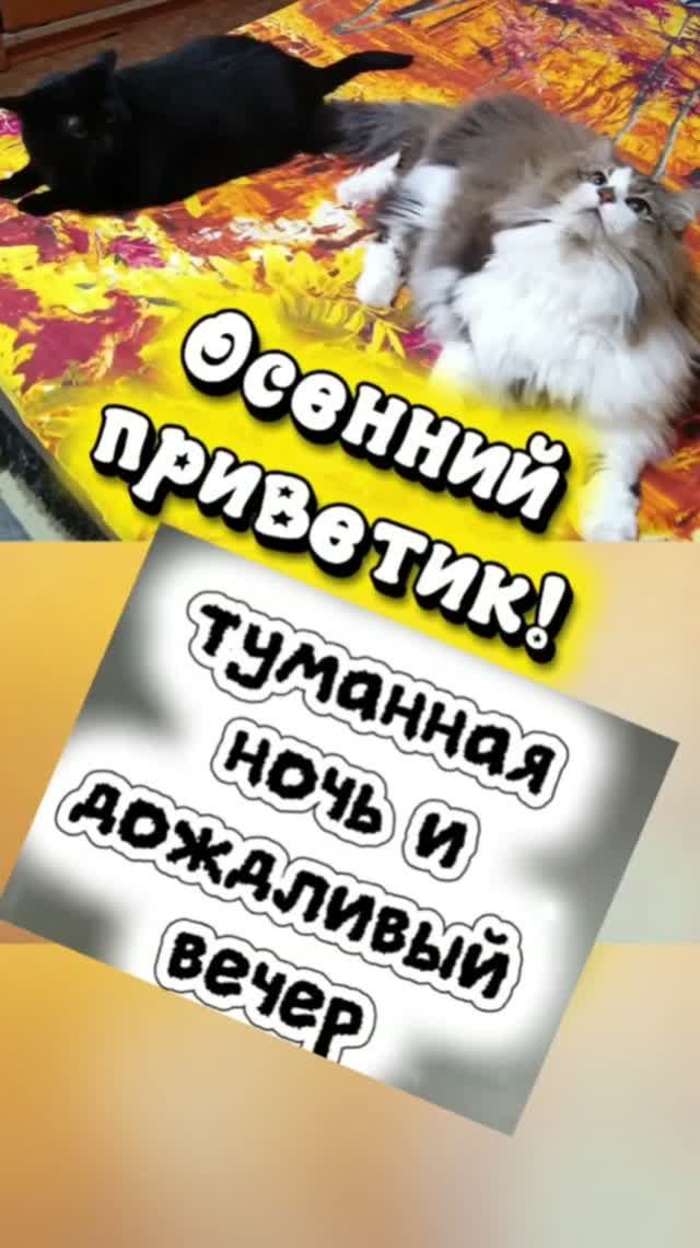 Красивые песни и видео