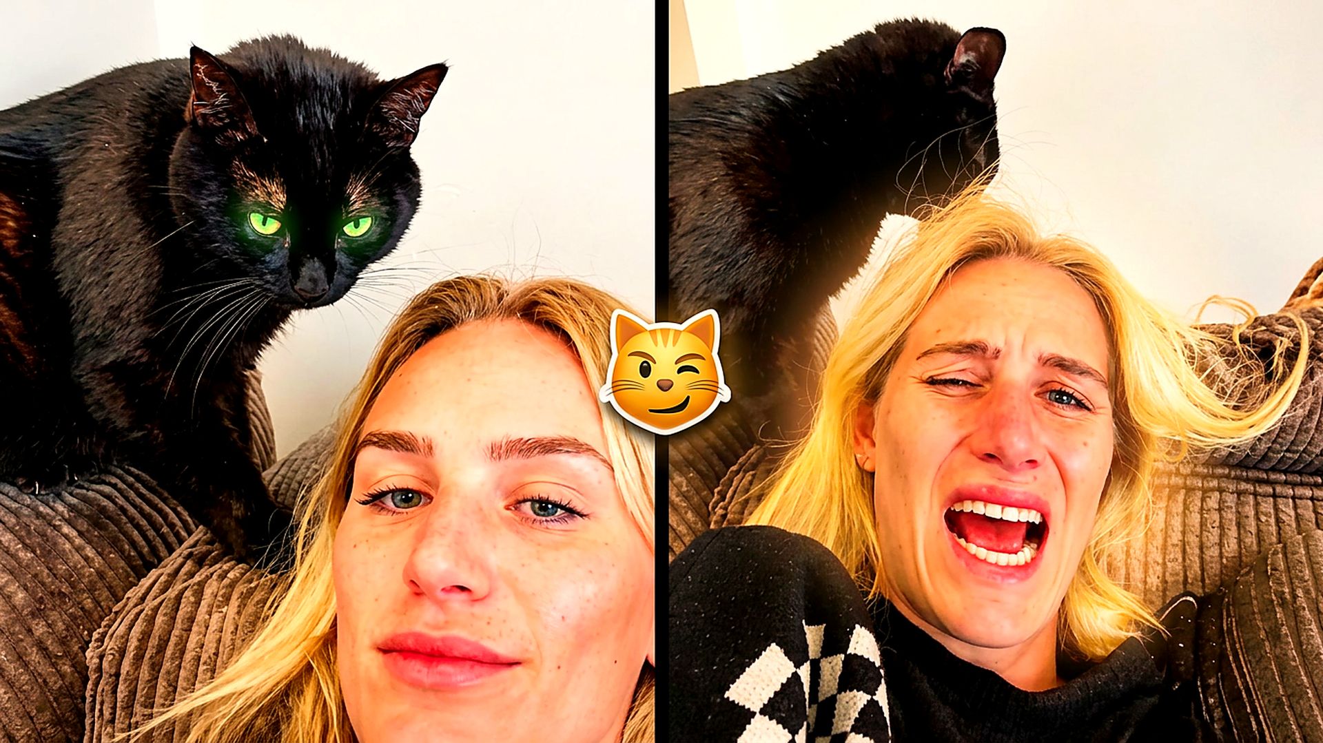 😹 Её кошка решила, что настал её час! Самые смешные моменты | Смешные питомцы | Смешные видео