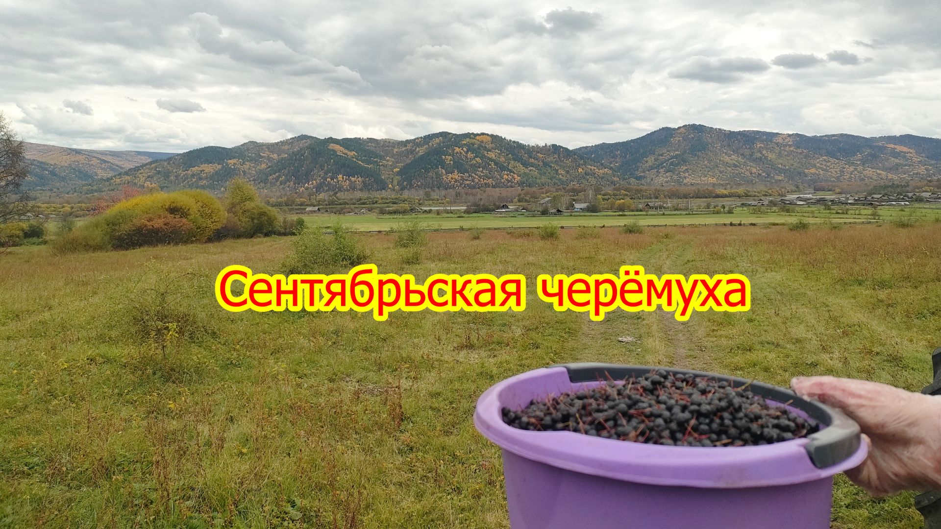 Зелёная кладовая.