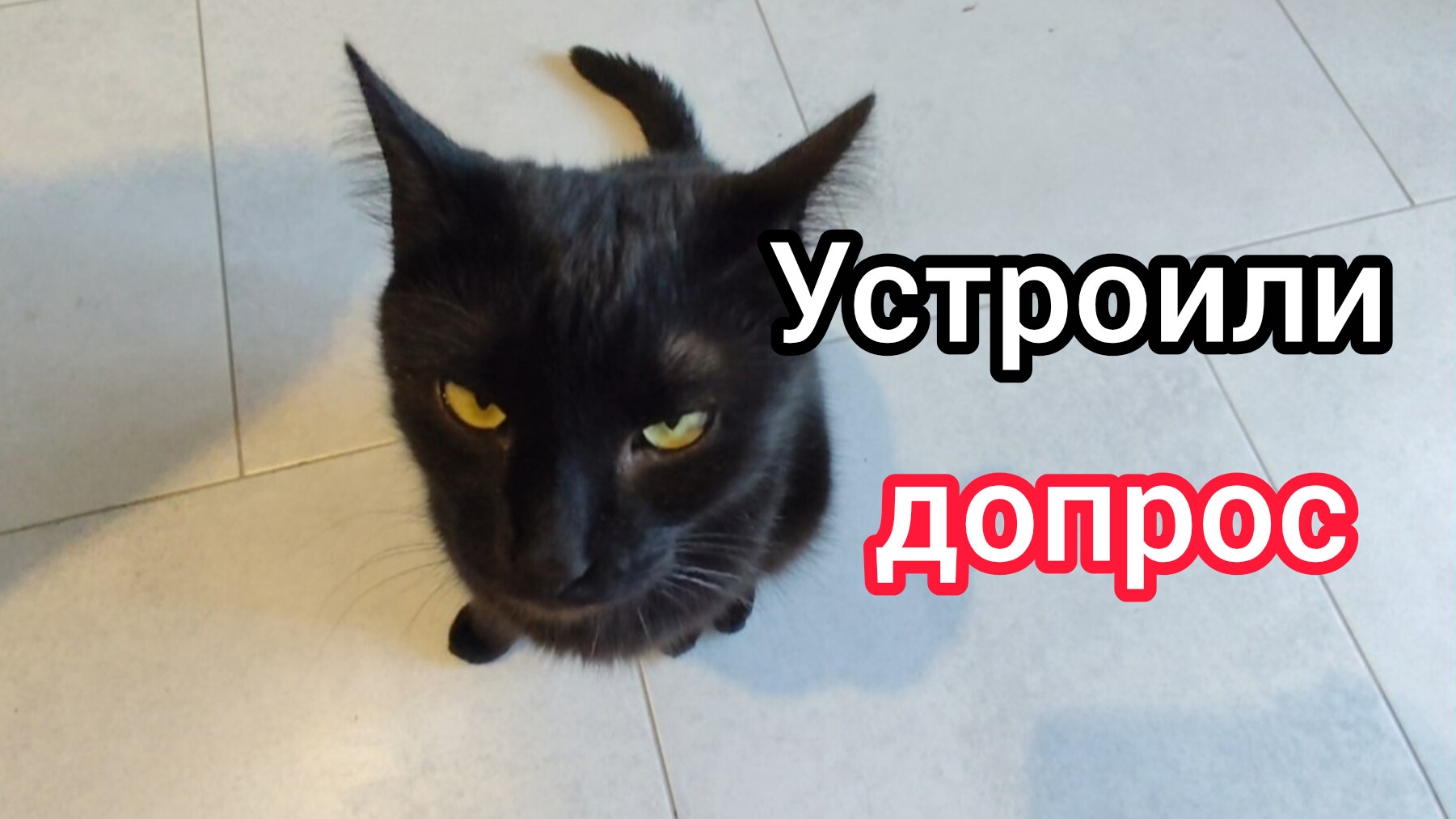 Работаем с 5 утра/Выбираем ОБОИ для всей КВАРТИРЫ/Устроили мне ДОПРОС