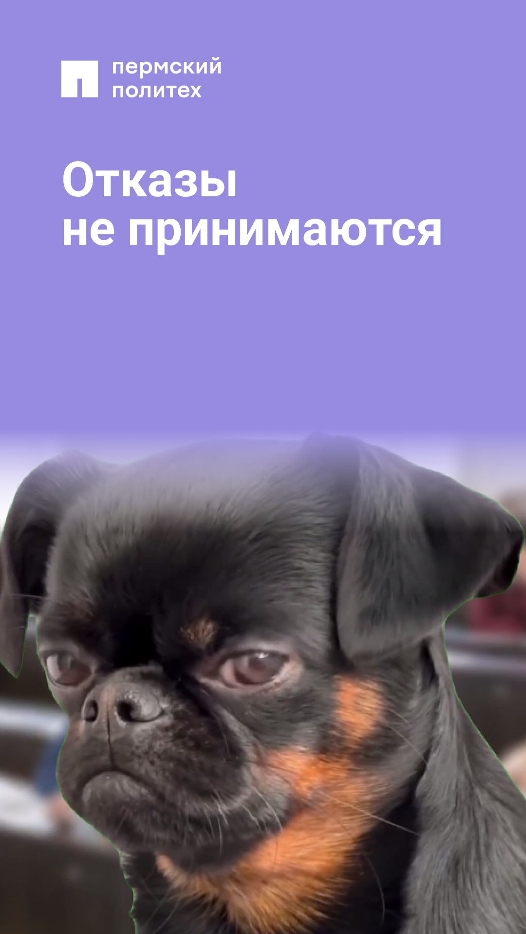 Shorts от Пермского Политеха
