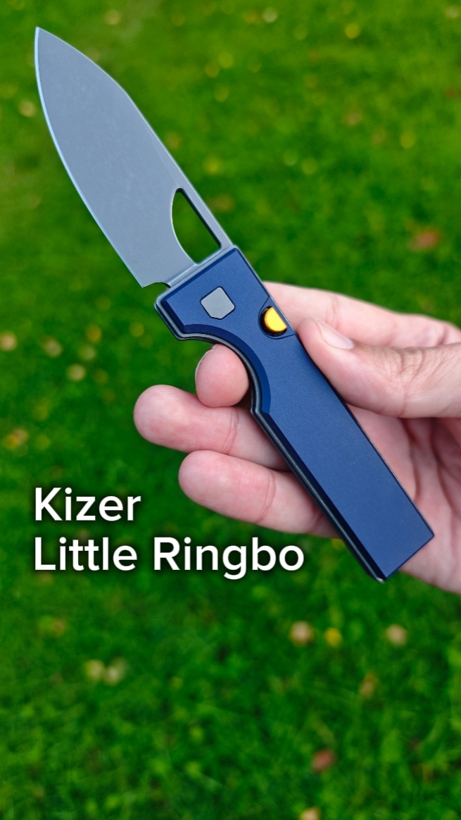 Складной нож Kizer Little Ringbo