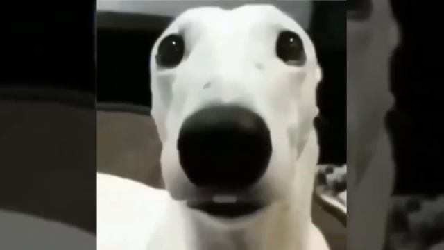 когда 7 уроков