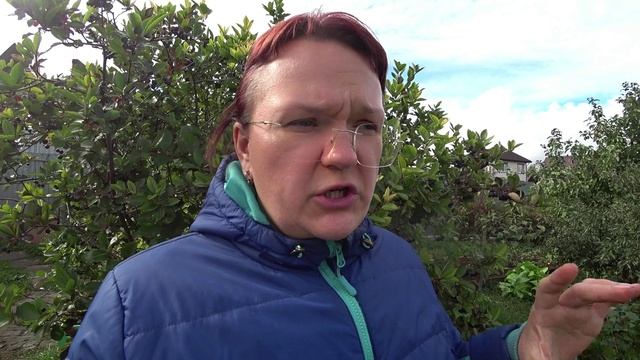 Правила закладки компостной кучи