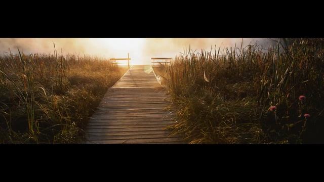Никто не отлучит меня - Дмитрий Шлетгауэр
