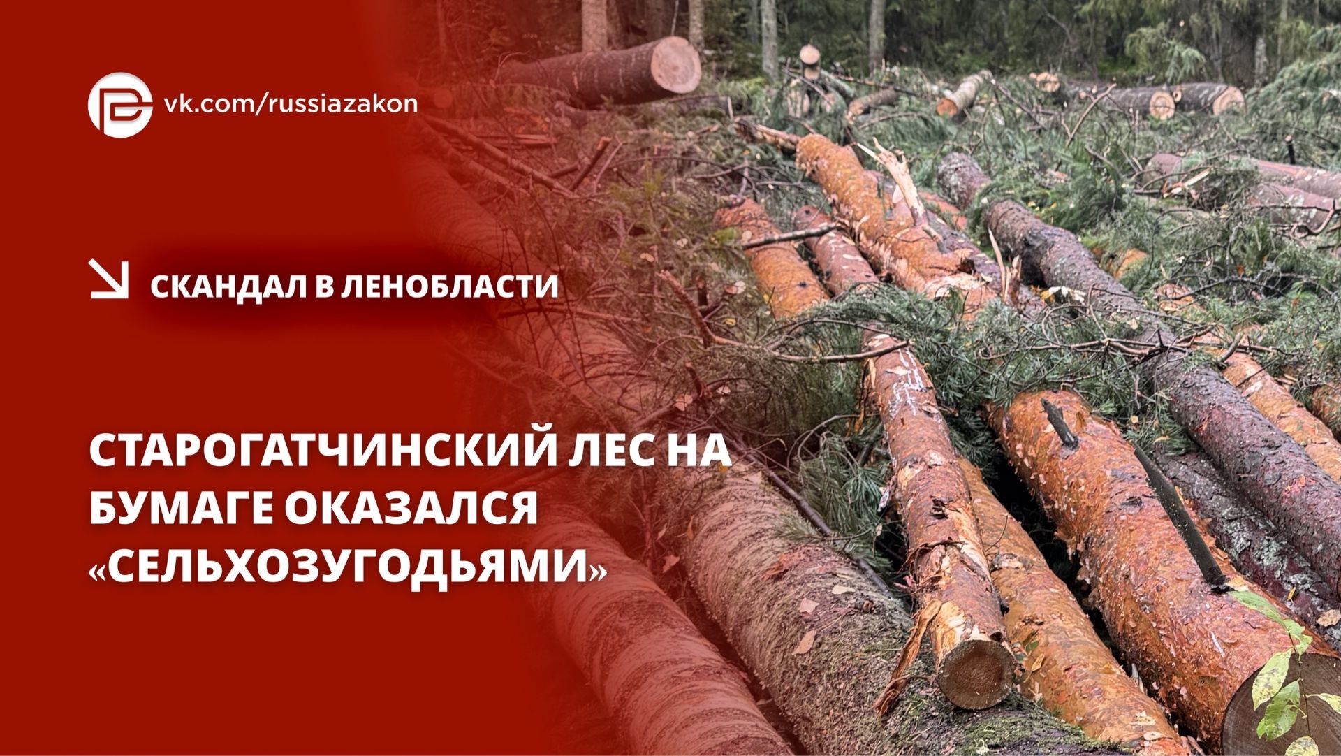 ЖУРНАЛИСТСКИЕ РАССЛЕДОВАНИЯ