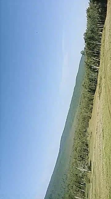 я поехал в деревню 6
