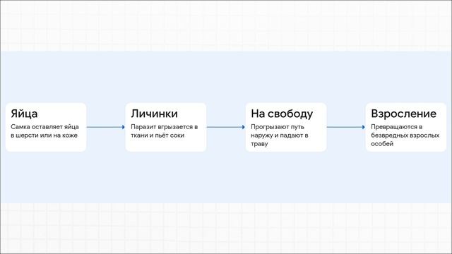 Вся_правда_об_оводах