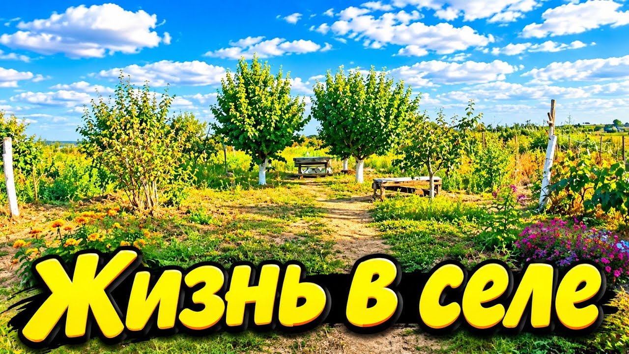 НАВОЖУ ПОРЯДОК В ПОДСОЛЕННОМ  ПОМЕЩЕНИИ / ЖИЗНЬ В СЕЛЕ #villagelife