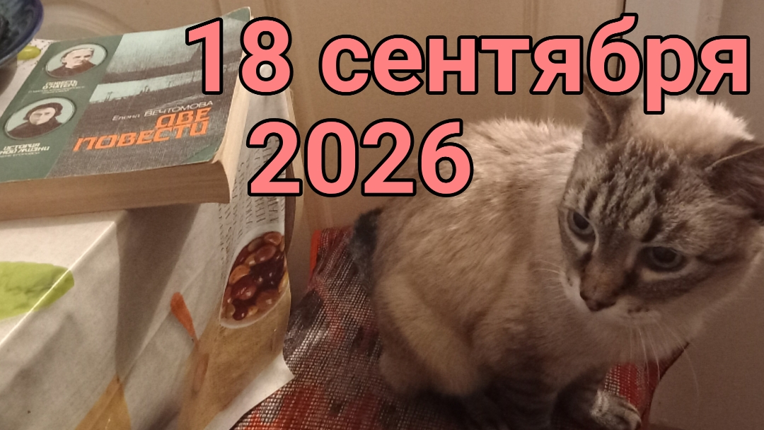 18 сентября 2026. Сентябрьский аукцион, Снежан и книга...