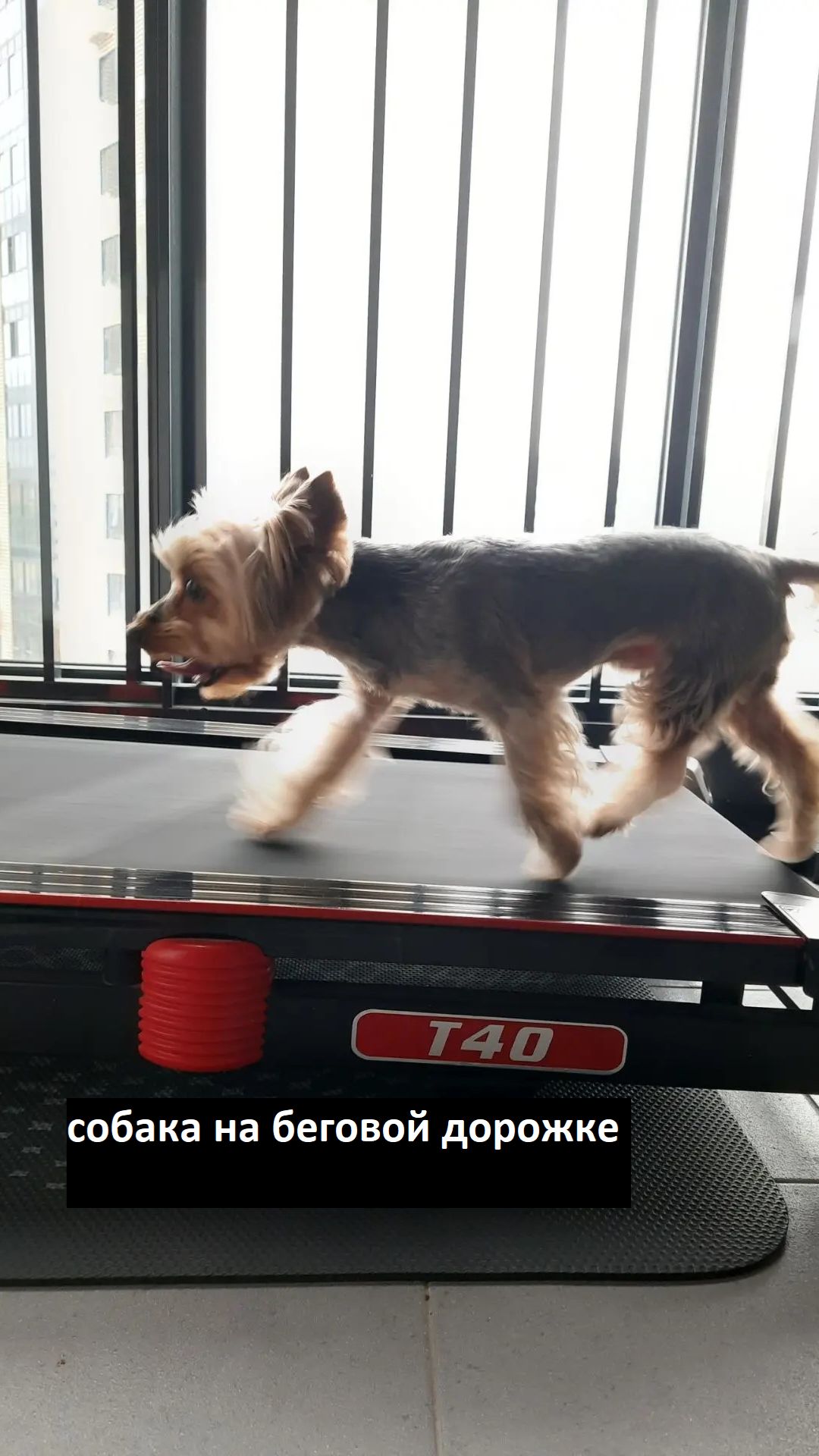РАЗНОЕ