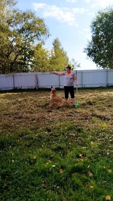 Собака и камера 😲 #мойпитомиц #осеньосень #животные #деревня #юмор