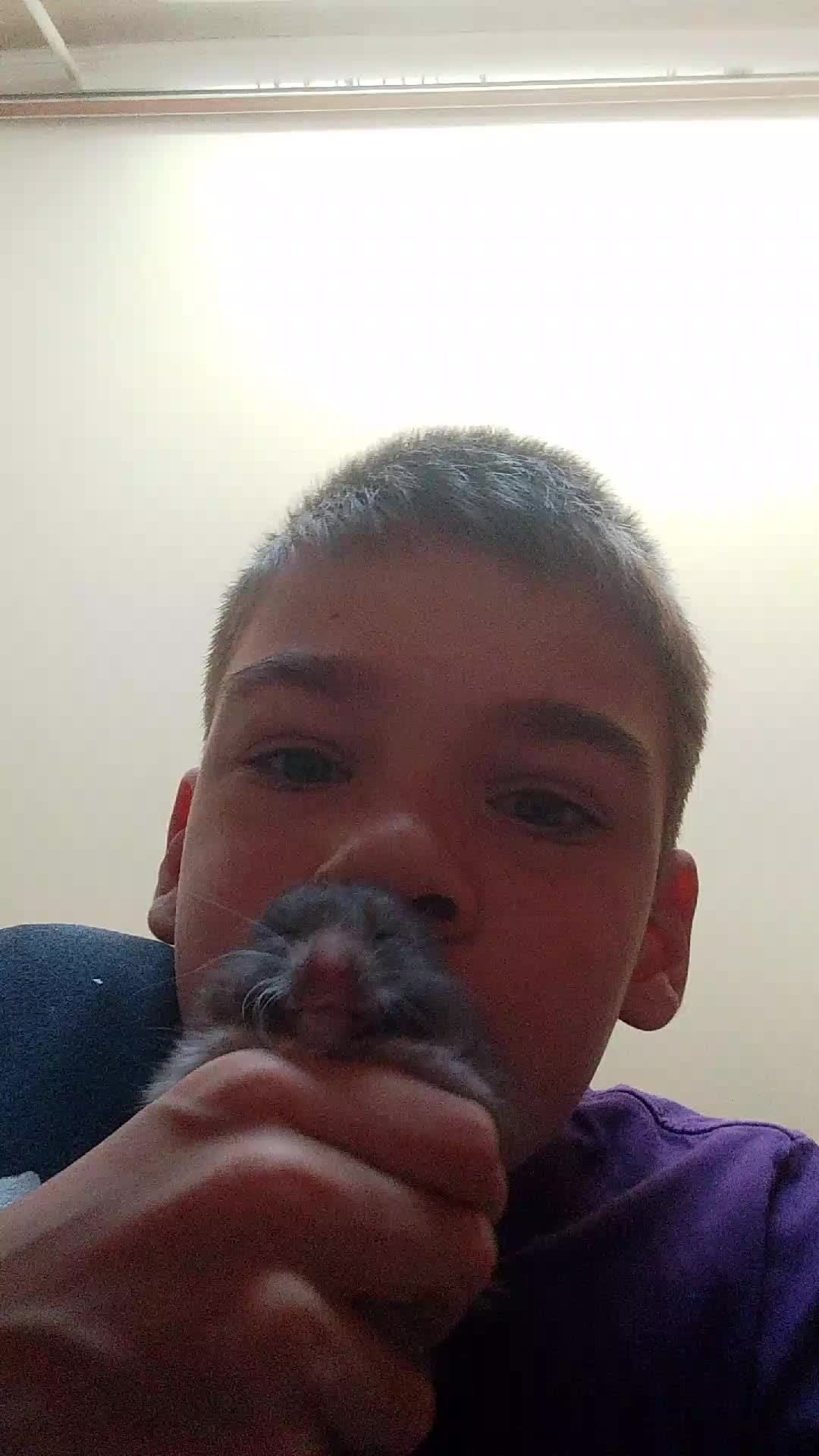 хомяк