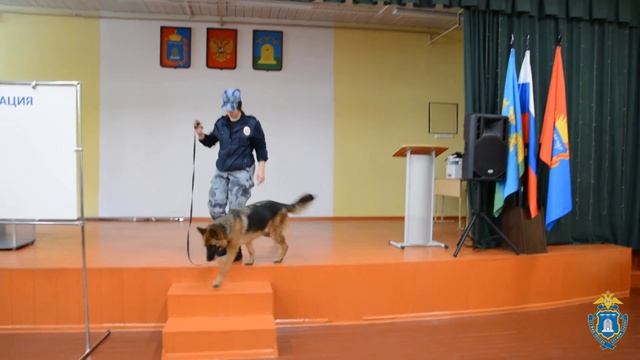 Обеспечение правопорядка в период проведения Единого дня голосования в Тамбовской области