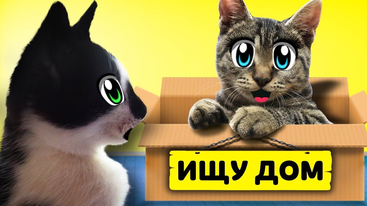 ИЩУ ДОМ! КОТ МАЛЫШ и КОШЕЧКА МУРКА и Бездомный КОТЕНОК! ХЭЛЛОУИН МЫШКА наш НОВЫЙ ПИТОМЕЦ! Kitty Cats