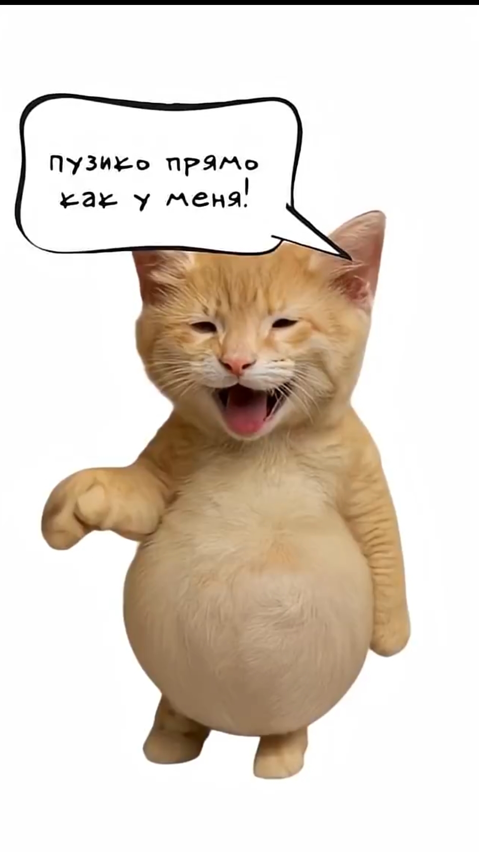 Не знаешь как похудеть? - Котята объясняют!