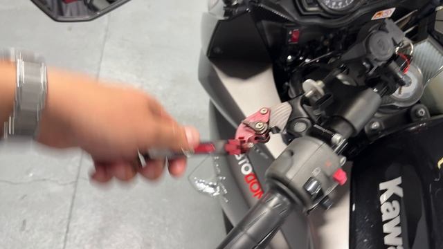 Kawasaki Ninja 1000 2012