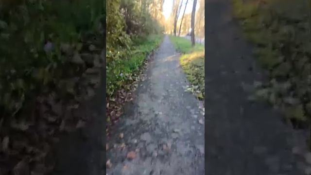 утренний стрим всем привет