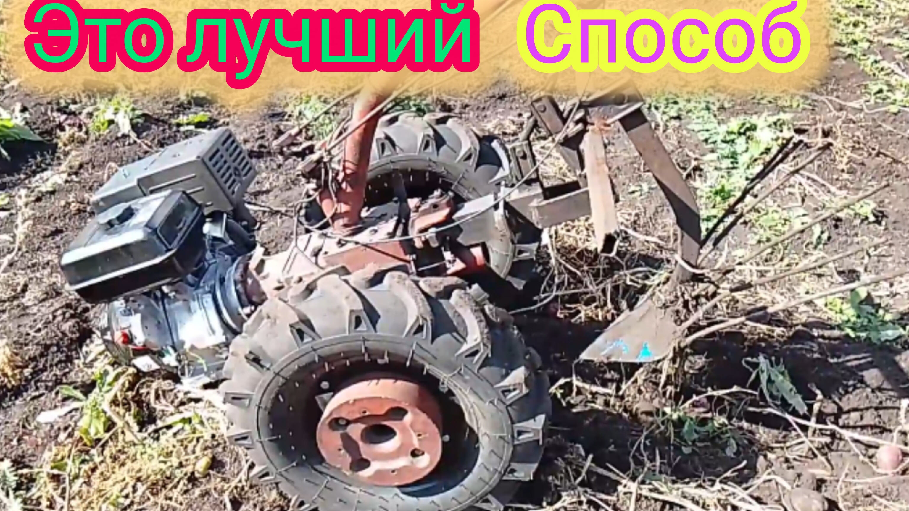 Какая картофелекопалка для мотоблока лучше!!!копаем картошку и немного про сорта .
