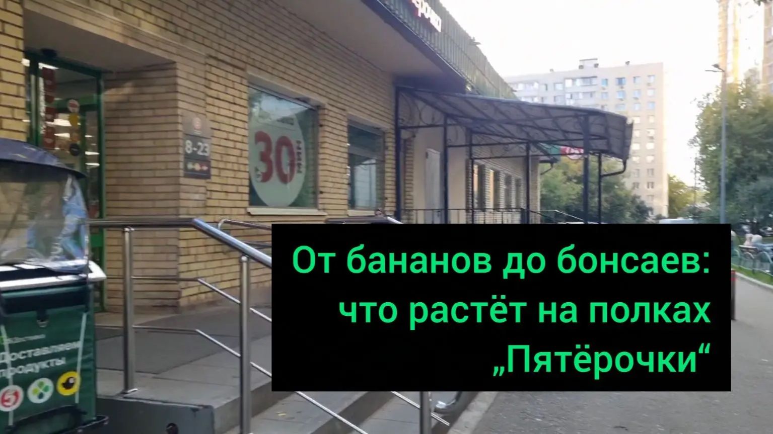 Зеленый шопинг